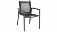 Delia chair moss green/text
